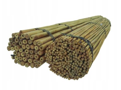 Bambusové tyče 300 cm 30/35 mm / 25 ks /, bambus_0