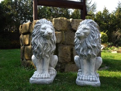 Lion levy betónový obrázok nastavený vpravo doľava_1