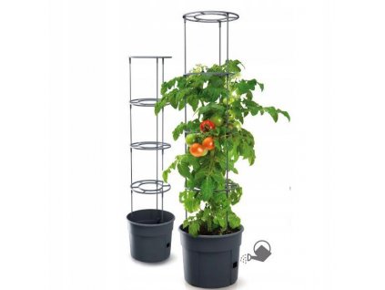 Kvetináč na terasu - Pot pre pestovanie paradajok paradajok 12l_4