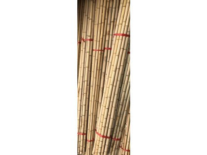 Bambusové tyče 300 cm (20 ks), priemer 3-4 cm_0