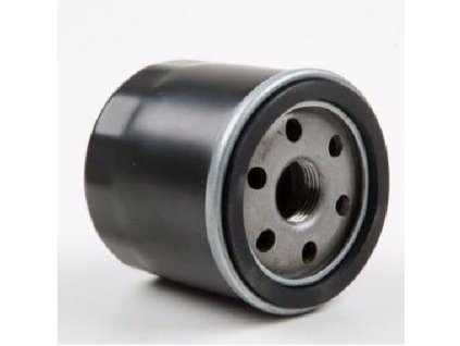 Olejový filter je pre motor traktorka MTD ThorX DL92T_0