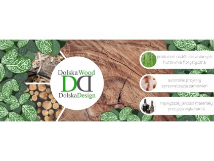 Sada DREVENÉHO DINOSAURU NA STENU_0