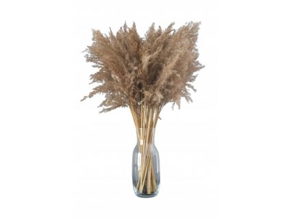 Sušená dekoratívna tráva Boho suché kytice veľké 30ks_0