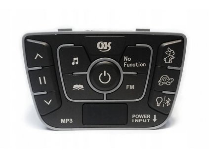 Ovládací panel - BMW X6 / AUDI Q7 - FM / MP3 / BT 12V_0