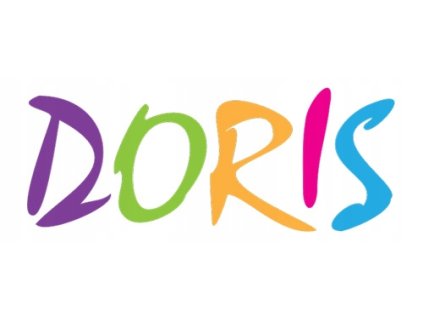 DORIS DOLL PRAM WALKER GONDOLA BAG 3v1_8