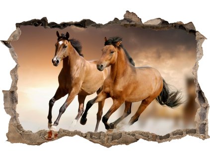 NÁLEPKY NA STENU Diera KONE 68 115x75 cm_0