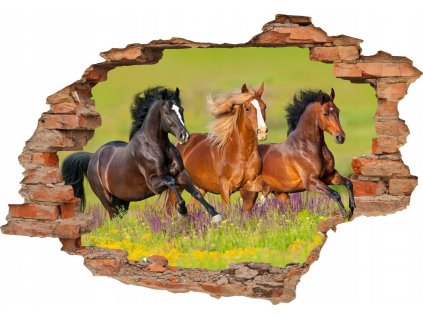 Samolepky na stenu 3D KONSKÉ KONE 100x70cm max výber_0