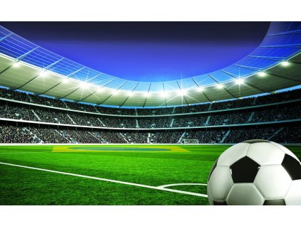 Foto Tapety LOPTU, POLE, ŠTADIÓN 312x219 FLIZELINA_0