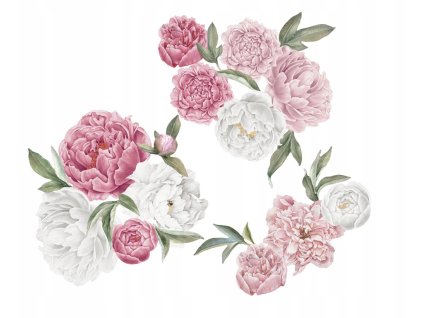 Samolepka na stenu PEONIES kvety !!! B. veľká súprava_5