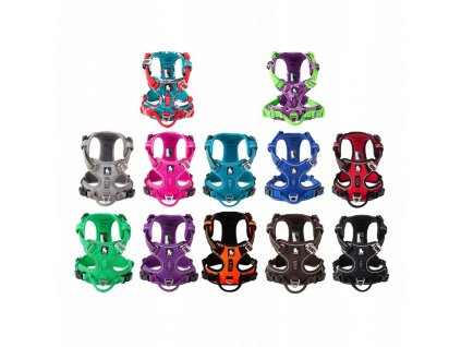 Postroj, popruh pre psa -  Náramky pre psie Truelove Front Line R. XL_0