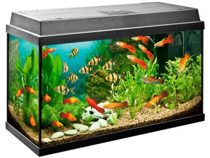 AKVÁRIUM 30L 40x25x30cm SPP LED+13 prezradí_0