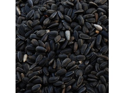 BLACK SLNEČNICOVÉ SEMENÁ PRE ZIMNÉ 20 KG KRMIVO PRE VTÁKY_0