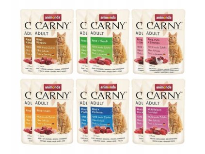 Krmivo pre mačky - Animonda Carny Adult Mix Flavors 12x85g_0
