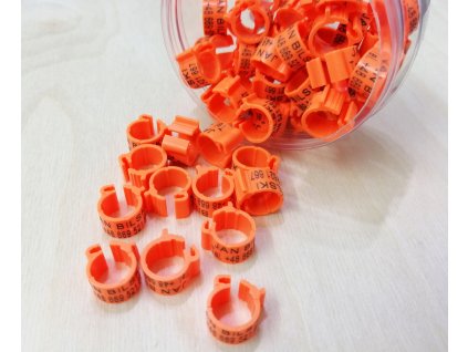 Gravírované MENOVKY pre HOLUBY, krúžky-50 Ks_0