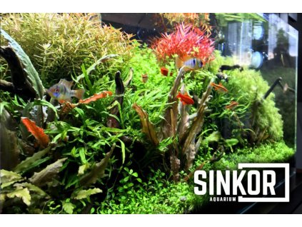 Sinkor LED WRB 60 akváriové osvetlenie 60cm 20W_0