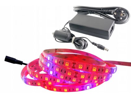 KIT 300 LED pásy svetla IP65 RAST rast rastlín 5m_0