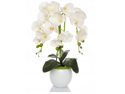 UMELÉ ORCHIDEY SÚ KRÁSNE KVETY, KVETINÁČE MOSS_2