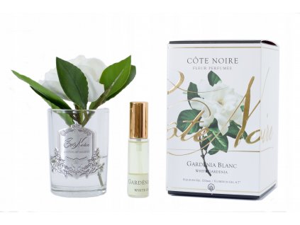 Vonia Gardenia biela mačka Noir na darček_0