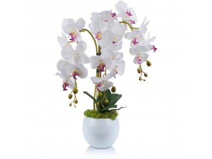 Umelé ORCHIDEY, biele ruže kvet opatrenia_0