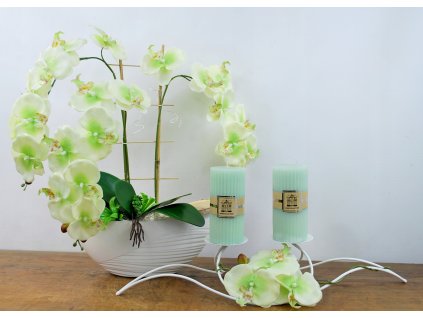 NASTAVIŤ ZELENÁ ORCHIDEA + SVIETNIK DARČEK_0