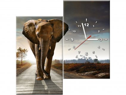 Obraz s hodinami 60x60 pre obývaciu izbu kancelárie Elephant ZEGAR_0