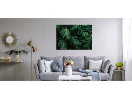 Maľovanie na plátno PRE OBÝVACIA izba 70x50 MONSTERA_0