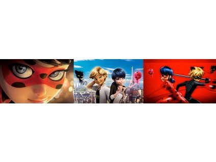 Nálepka Beruška a MIRACULUM ČIERNA KOČKA XXXXXXXL_0