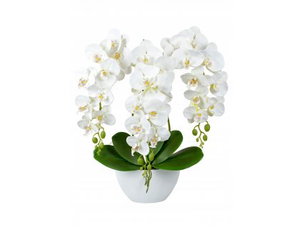 Orchid umelé veľké kvety silikón_0