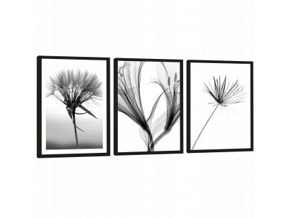 Plagáty na rameno,moderné obrazy, séria 99/45 cm_0