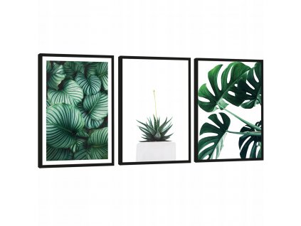 Moderný obraz rám series - 135/65 cm !!!_0