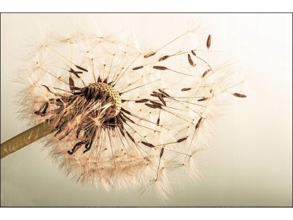 3D púpava prírodná nástenná maľba pre obývaciu izbu 240x360_0