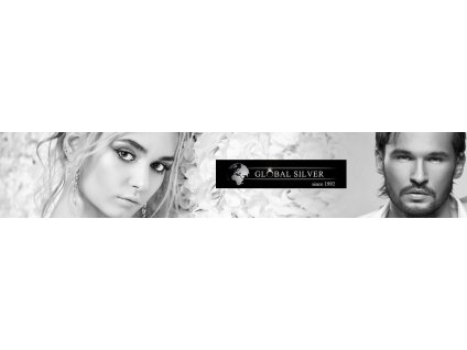 925 sterling SILVER NÁHRDELNÍK 925 SILVER N64 MINCE GLOBÁLNE_0