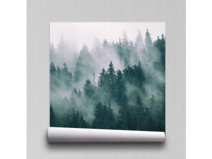 Samolepiaca fototapeta Les v hmle retro vinobranie_0