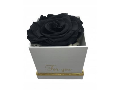 Krásna skutočná večná čierna ruža. Večné ruže_0