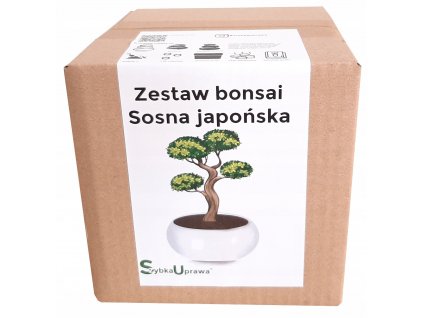 Bonsai - Kultivačná sada BONSAI JAPONSKÁ Borovica biela_0