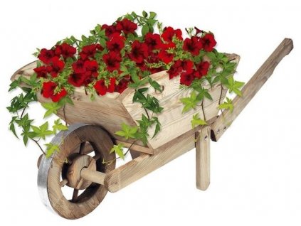 Kvetinový tragač_0