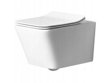 WC misa - Miska WC visí s voľne stojacou doskou_0