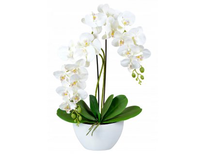 Orchid umelé kvety umelé orchidey_0