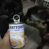 KATTOVIT URINARY DRINK NAPOJ DLA KOTA 12 x 135ml Karmy specjalne ze schorzeniem drog moczowych