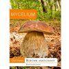 Hríbiky sieťované mycélium lesné huby