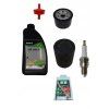 Servisná súprava pre motor MTD ThorX 382/439 cm³
