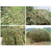 VOJENSKÁ MASKOVACIA SIEŤ PRE KAMULÁŽ JUNGLE 4M × 3M_3