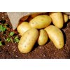 CHARZATE CU 49,5 WP 1KG Pest Potato Mączniak_2