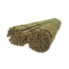 Bambusové tyče 210 cm 20/22 mm / 50 ks /, bambus_1