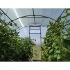 Skleník - PREMIUM TUNEL 3x10 POLYKARBONÁT 4mm POTRUBNÁ OCEL ZINKOVÁ PLATNÁ_9