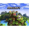 Puzzle s Minecraft 252 EL tlače. A3 hit!_1