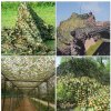 Maskovacia sieť - Maskovacia maska 1.5x3 m Jungle Camouflage_3