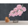 Samolepka na stenu PEONIES kvety !!! XXXL_3