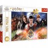 PUZZLE 300 EL TAJEMNICZY HARRY POTTER 23001