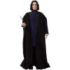 MATTEL KOMNATA TAJEMNIC SEVERUS SNAPE GRN35 Kod producenta GRN35